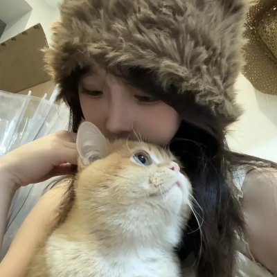 没卵头家